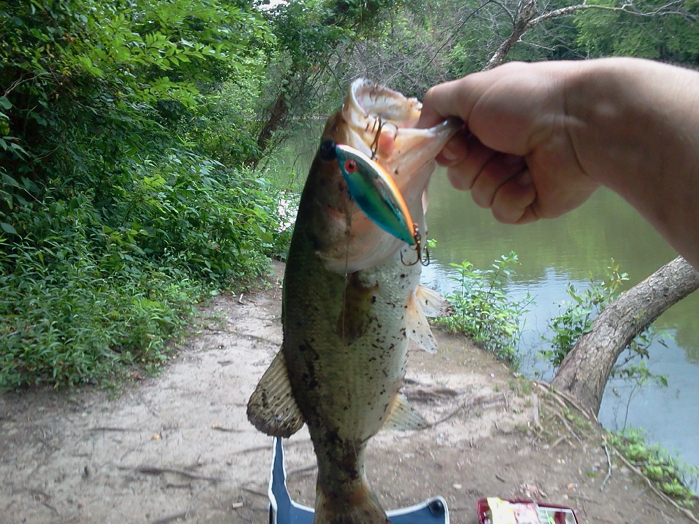 bass near Baxter Springs