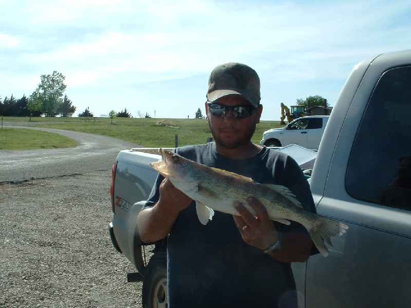 Walleye near Susank