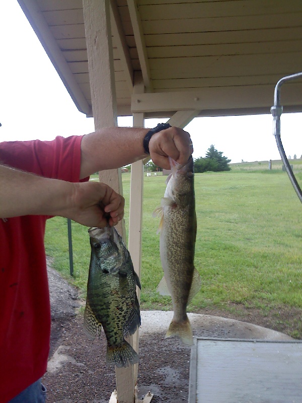 cedar bluff catch