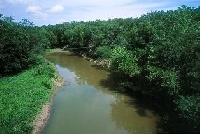 Cedar Bluff Reservoir